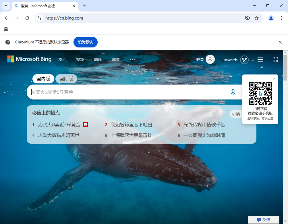 Ungoogled-Chromium v137.0.7151.55-1.1 中文绿色版